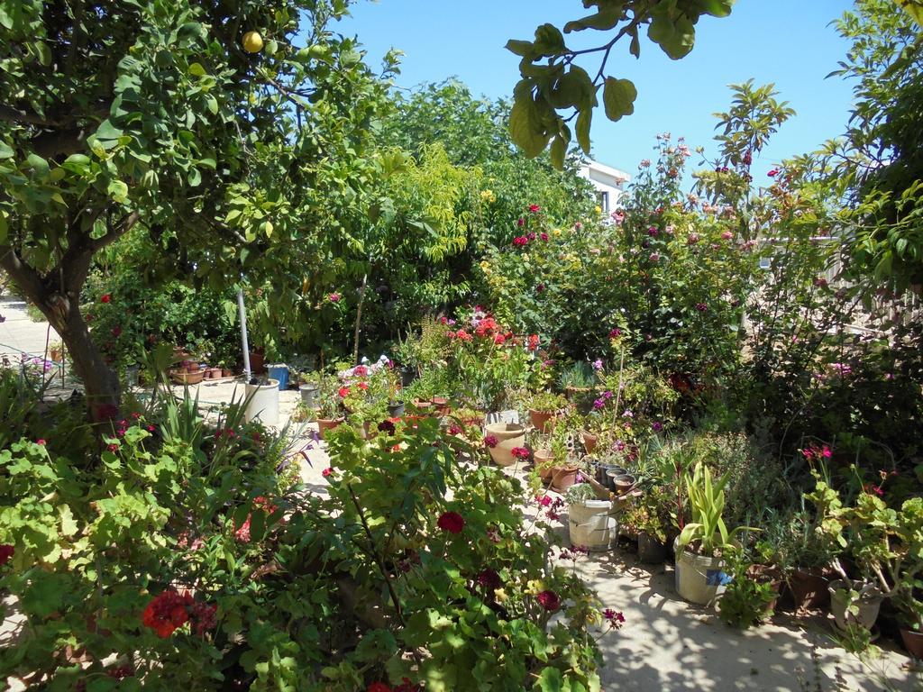 Two-Bedroom Apartment - Ground Floor,253794141:JPEG