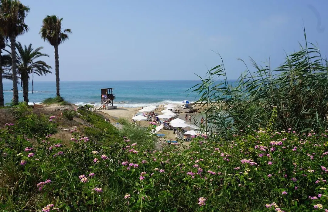 Paphos Gardens, Near Beach-1