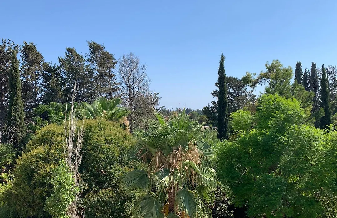 Paradise Gardens 3 - Superb 1 Bed Apartment-1