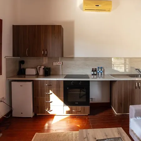 Steni Traditional Studio Apartment-2