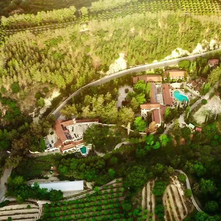 Secret Forest - Wellness Retreat & Healing Spa (Adults Only)-2