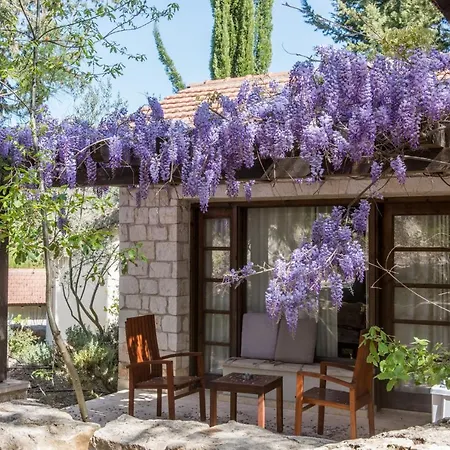 Secret Forest - Wellness Retreat & Healing Spa (Adults Only)-3
