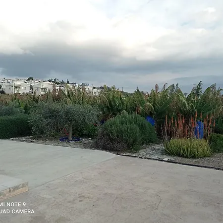Blue Seaview Appartments-2
