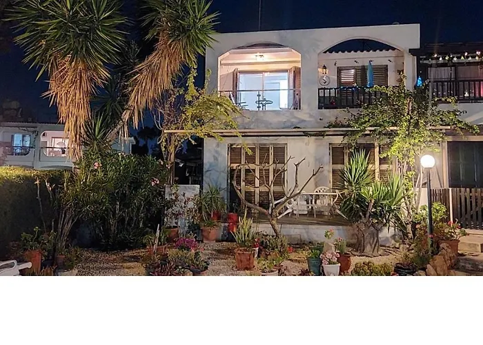 Cyprusmylove Paphos che accetta animali