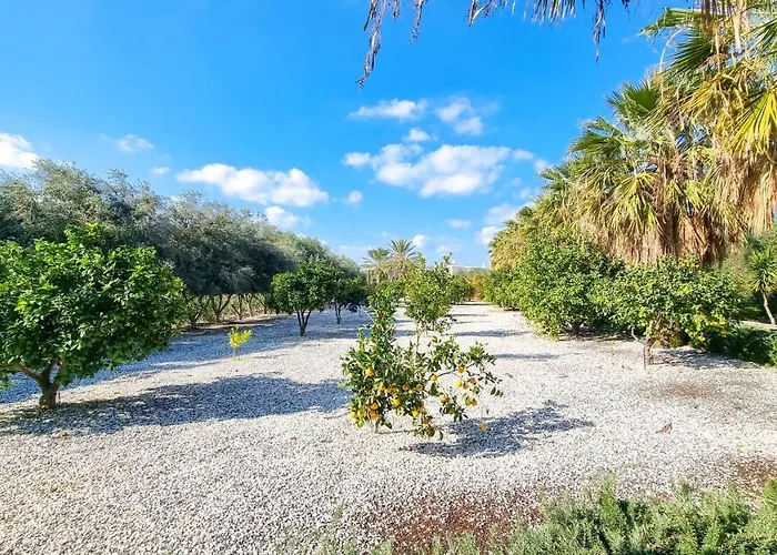 Leto 13 Villa Paphos